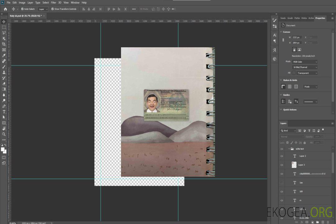 Carte d'identité Allemagne (2010 – 2020) photolook AVANT template